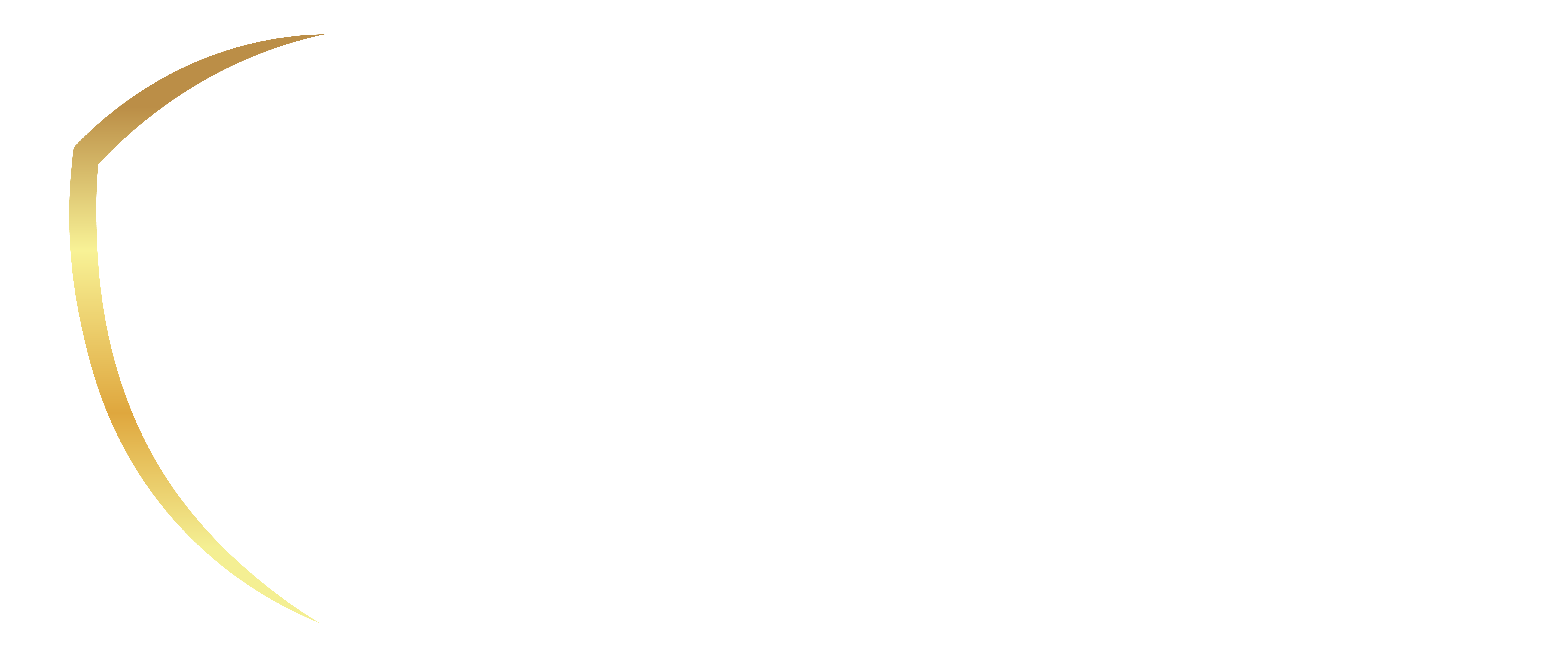 PW horizontal white logo small